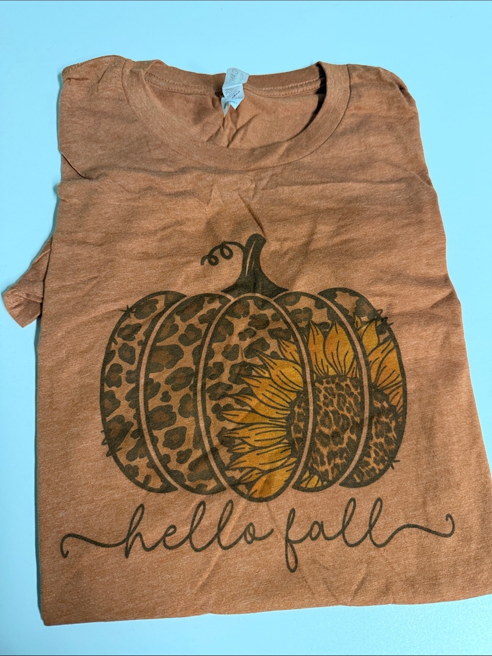Hello Fall Pumpkin Graphic Tee - Rust Brown